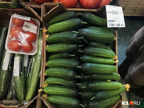 俄罗斯吃瓜官网,揭秘俄式娱乐文化盛宴 第2张 俄罗斯吃瓜官网,揭秘俄式娱乐文化盛宴 第2张