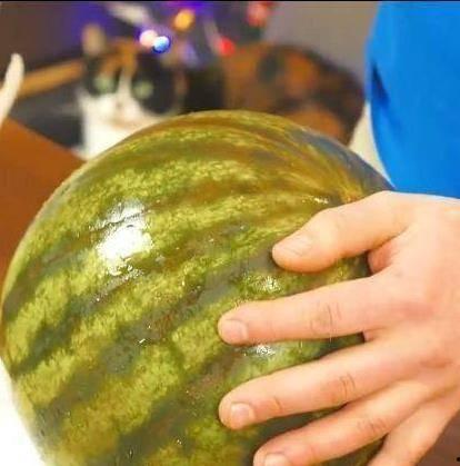 俄罗斯吃瓜官网,揭秘俄式娱乐文化盛宴 第3张 俄罗斯吃瓜官网,揭秘俄式娱乐文化盛宴 第3张