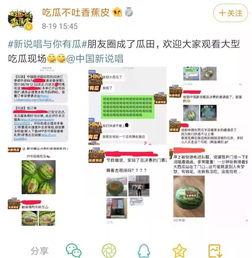 吃瓜网的新网站叫什么,吃瓜网全新网站命名背后的故事与期待