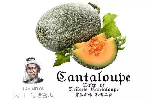 吃网红瓜的网站推荐  第2张