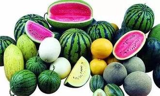 无锡网红吃瓜群微信,揭秘网络社交圈的幕后故事  第2张