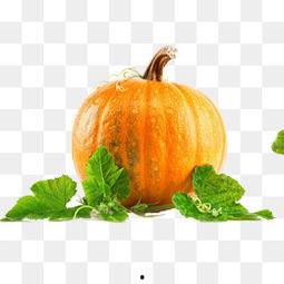 吃瓜网红图片大全高清,高清网红吃瓜图鉴  第3张