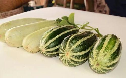 吃瓜千万网红是谁,网络红人的崛起与影响力  第3张