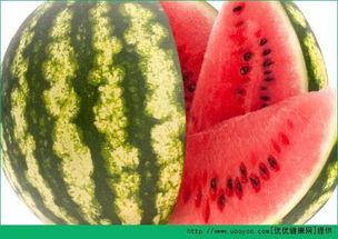 每日分享吃瓜网红,揭秘每日分享吃瓜网红的爆红之路  第2张