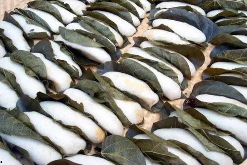 温岭吃瓜婚庆网红视频,一场吃瓜盛宴背后的甜蜜故事