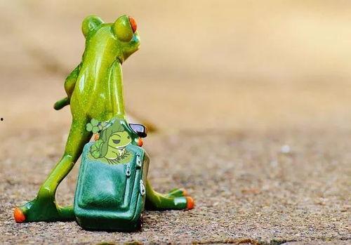 网红蛙吃瓜看戏,吃瓜看戏，揭秘网络世界幕后风云  第2张