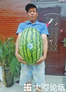 吃瓜网每日大赛 反差大赛51  第2张