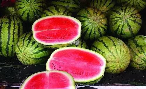 吃瓜网每日大赛 反差大赛51  第3张