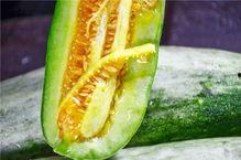 西昌网红吃瓜,揭秘网红圈背后的故事  第2张