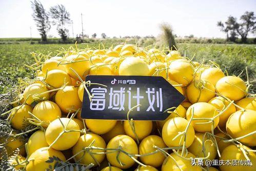 抖音网红星野在线吃瓜  第2张