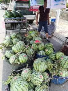 莱阳吃瓜网红事件