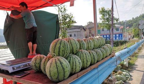 莱阳吃瓜网红事件  第3张