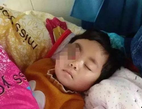 吃瓜事件网红母子,揭秘网络红人的争议与真相